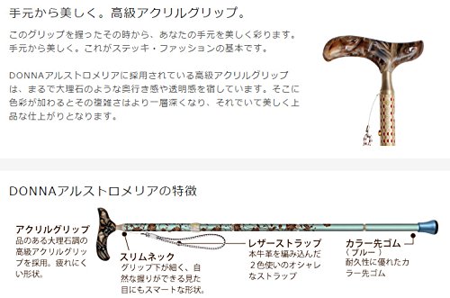 Amazon | SINANO シナノ ウォーキングステッキ 歩行杖 グランド